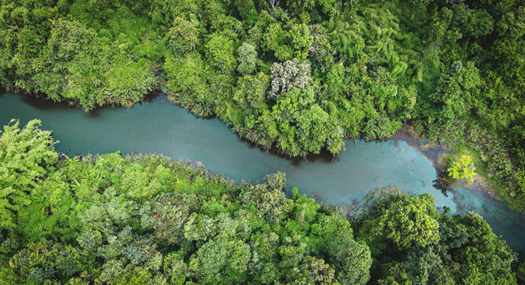 Grupo Sabará investe na relação entre água, clima e biodiversidade para se destacar no combate às alterações climáticas