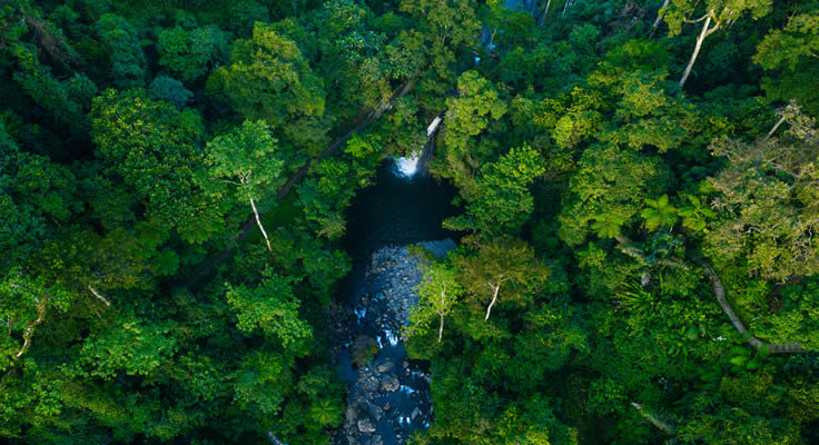 COP 16: Grupo Sabará é exemplo de como médias empresas podem contribuir para metas do Novo Marco Global da Biodiversidade