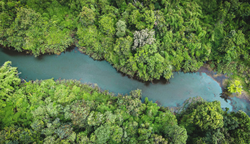 Grupo Sabará investe na relação entre água, clima e biodiversidade para se destacar no combate às alterações climáticas