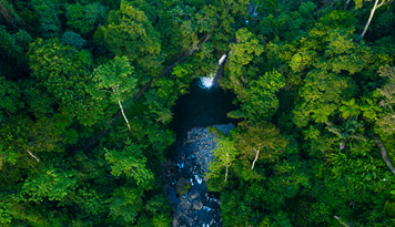 COP 16: Grupo Sabará é exemplo de como médias empresas podem contribuir para metas do Novo Marco Global da Biodiversidade