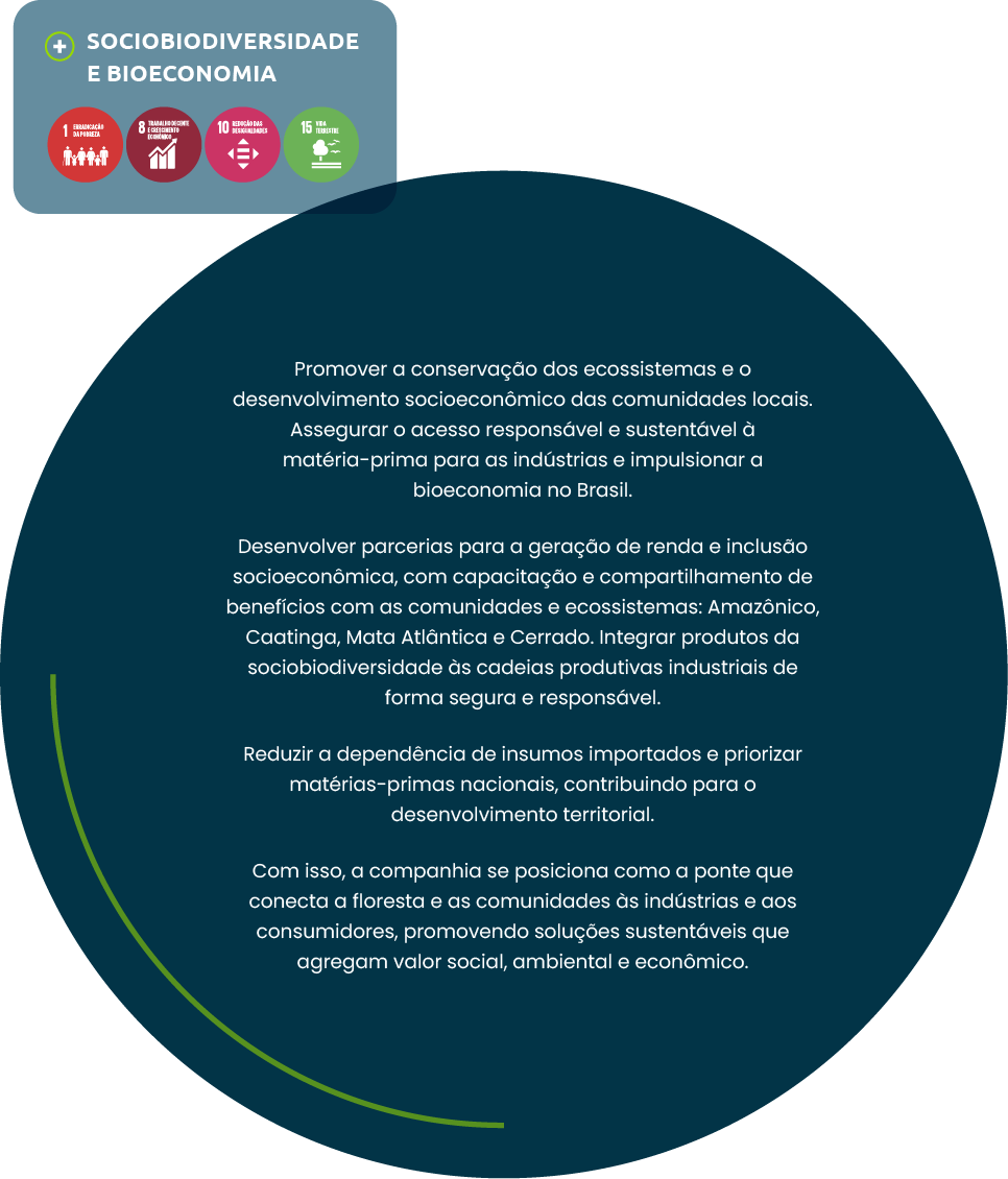 Modal 6