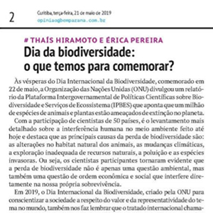 Jornal-Bem-Paraná